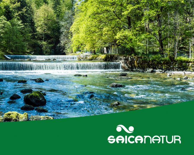 Saica Natur Tri-fold brochure