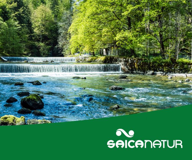 Saica Natur Tri-fold brochure